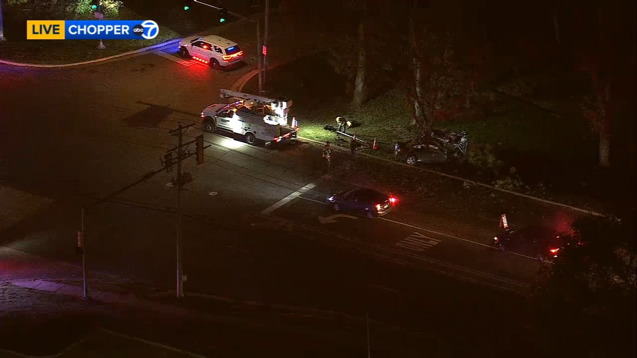 Car crashes into tree, partially closes Dundee Road, Palatine police say
— ABC7 Chicago (WLS-TV)