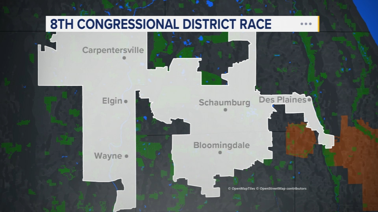 Former congresswoman, first-time candidate make final push in Illinois' 8th Congressional District
       — New Lenox Community news
