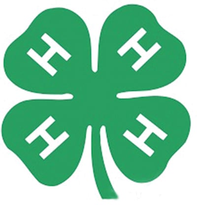 Ogle County youths make a difference through annual Illinois 4-H food drive — New Lenox Sports news