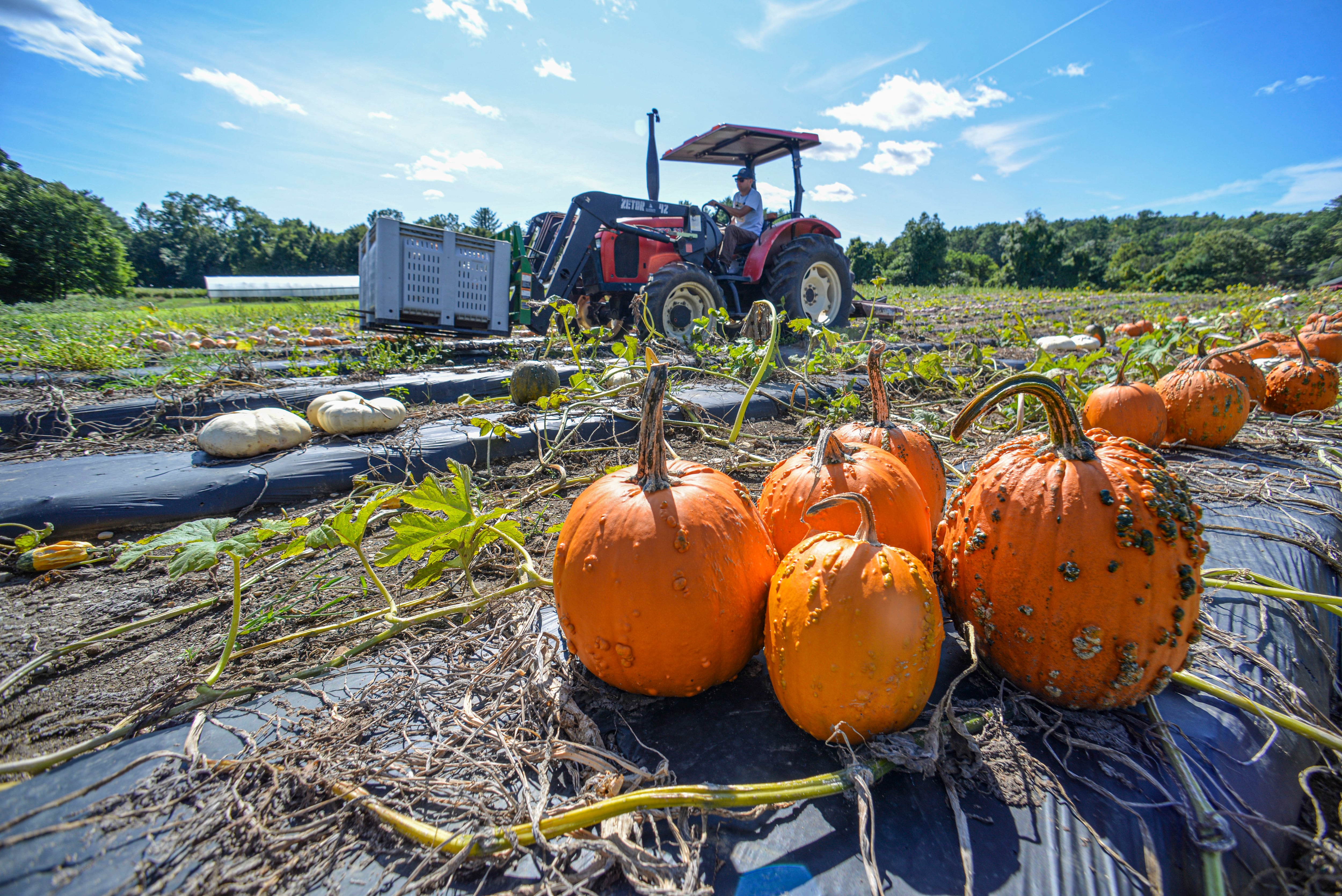Breaking point: Rising costs grip ag economy — New Lenox Arts news